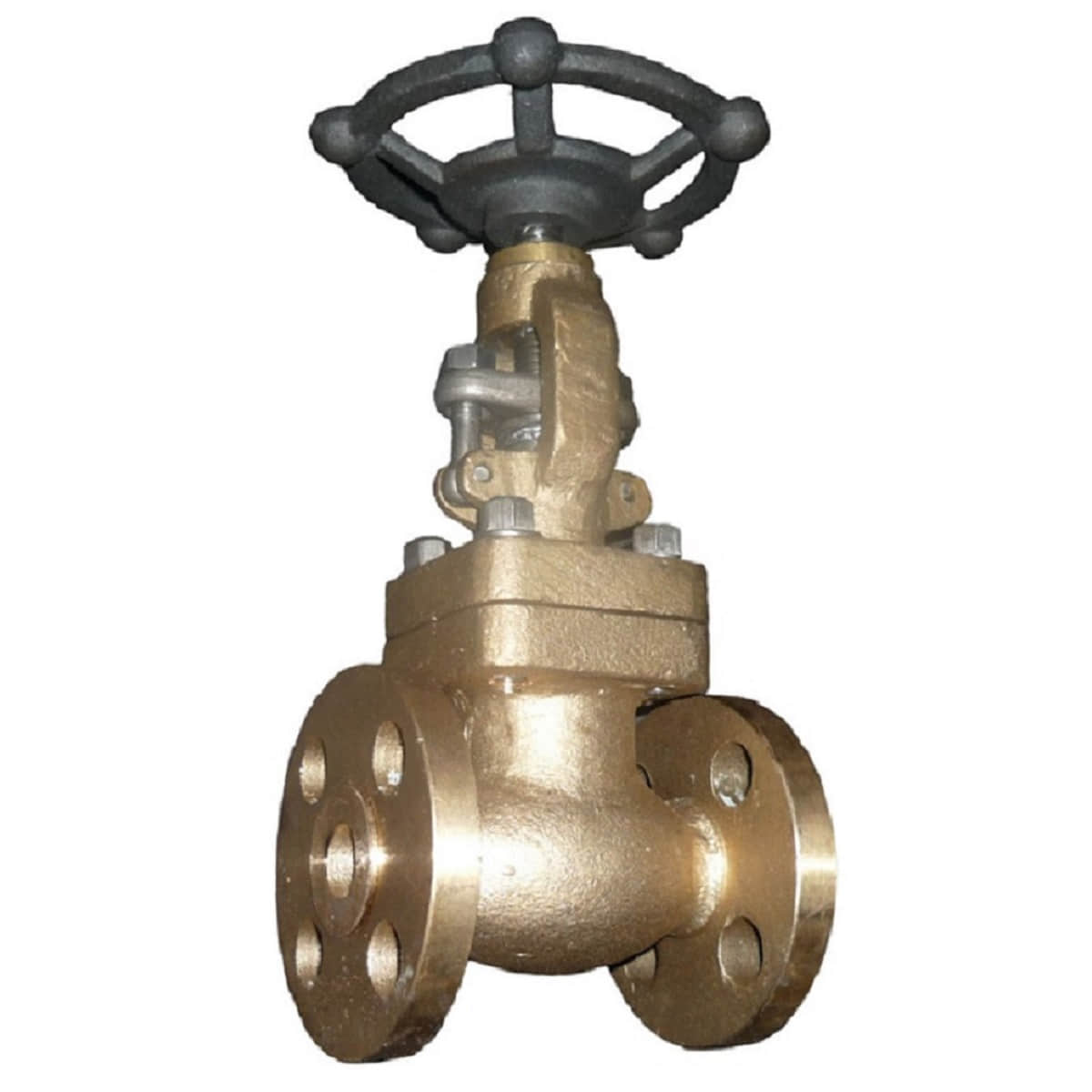 API 602 Copper Gate Valve