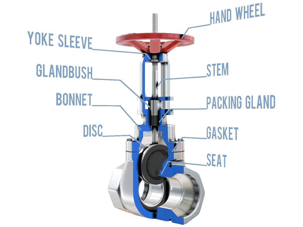 Gate Valve