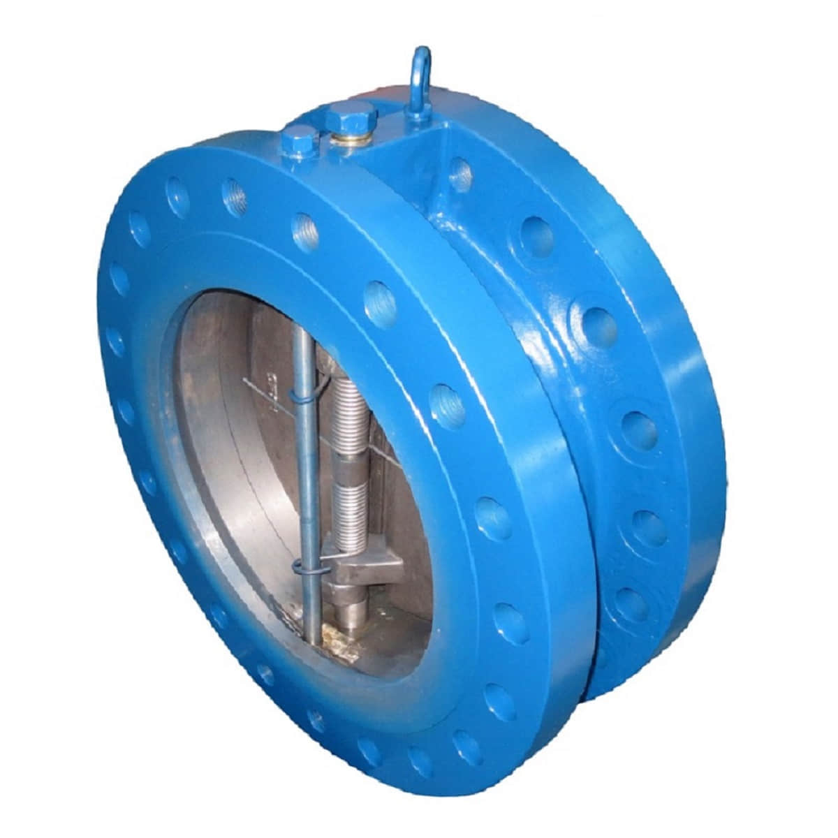 Wafer Flange Dual Plates Check Valve